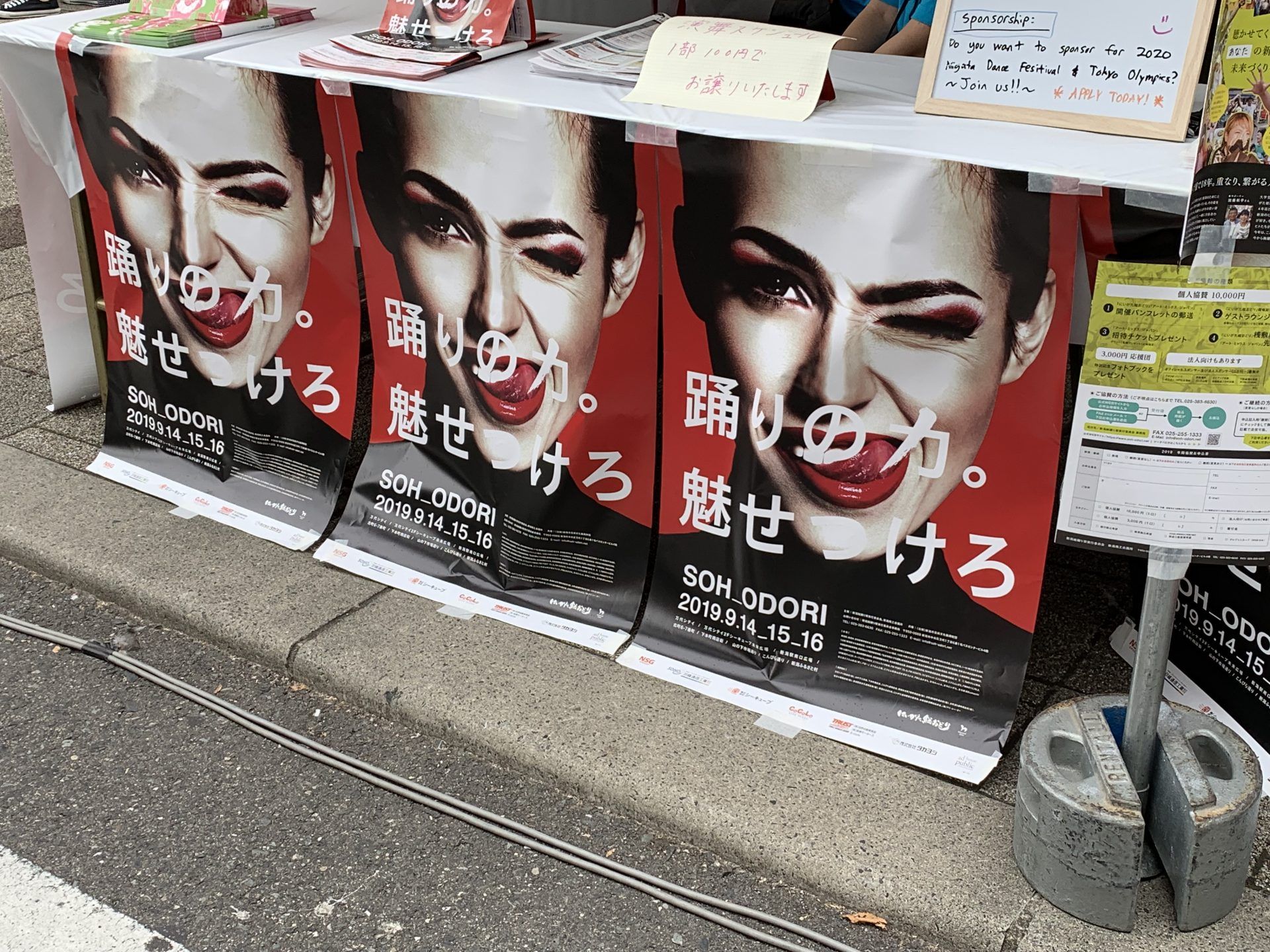 ceo-blog_5615_5_IMG_1350.jpg